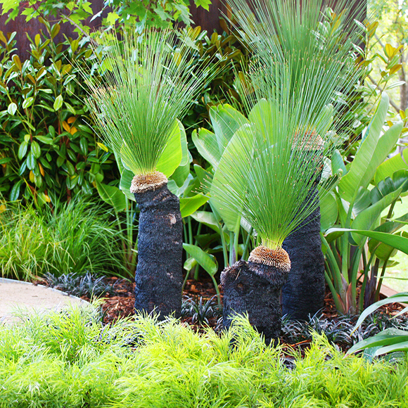 Melbourne Flower Show - Esjay Landscapes